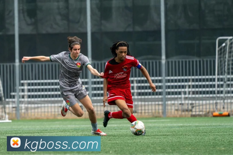 数据防护可视化